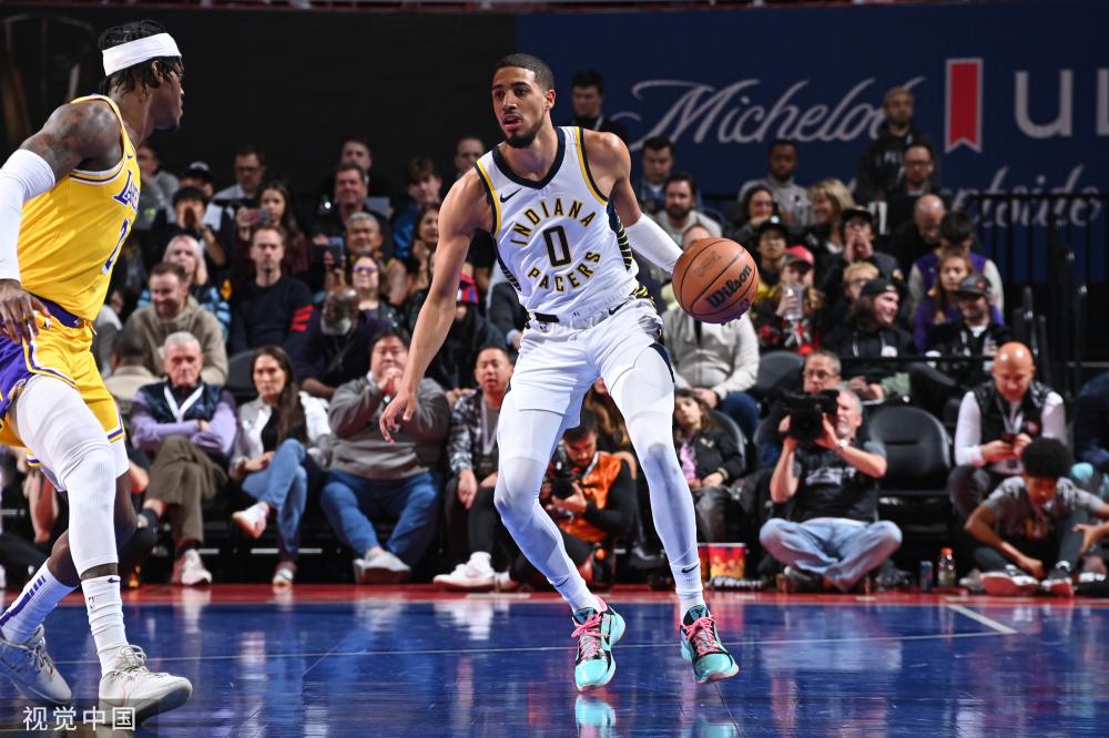 不仅可以提 不仅可以提